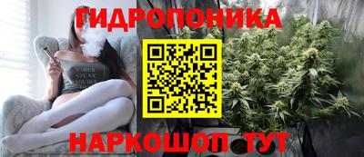 скорость Новодвинск