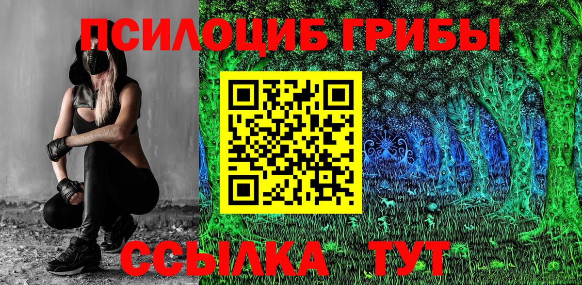 Галлюциногенные грибы мицелий Скопин