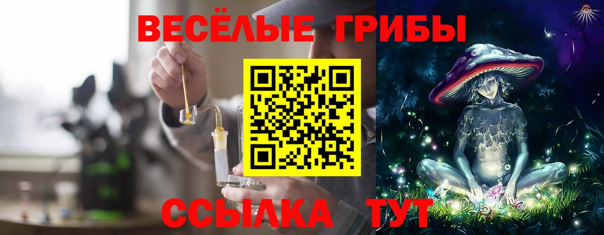 Скопин  Псилоцибиновые грибы Magic Shrooms  Вход с VPN 